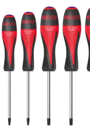 JEU 6 TOURNEVIS TORX CREUX KS Commande En Gros