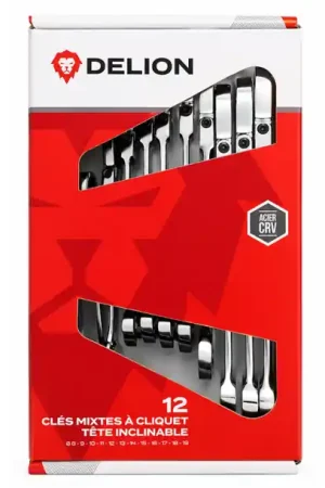JEU 12 CLES MIXTES CLIQUET TETES INCLINABLES FLEXO DELION Ø8-19 Expédié Aujourd'hui