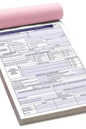 Vente Flash CARNET FICHE INTERVENTION CLIM 50 PAGES CERFA
