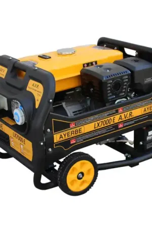 GROUPE ELECTROGENE AVEC AVR LX7000E 8.7 KWA + KIT BROUETTE Paiement Sécurisé