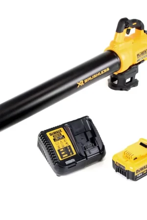 DeWalt DCM 562 M1 Souffleur sans fil 18 V Brushless + 1x batterie 4,0 Ah + chargeur Prix Choc