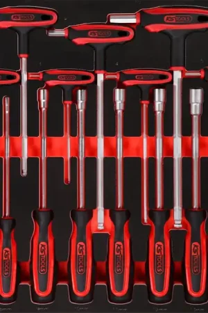 Acheter En Ligne KS TOOLS Jeu de poignées en T et de tournevis dans insert en mousse, 22 pcs ( 811.1022 )