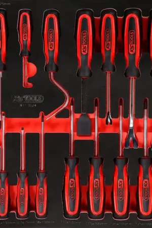 Solde KS TOOLS Jeu de tournevis dans insert en mousse, 24 pcs ( 811.3024 )