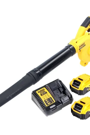 DeWalt DCV 100 P2 Souffleur de feuilles sans fil 18 V + 2x Batteries 5,0 Ah + Chargeur Vente Flash