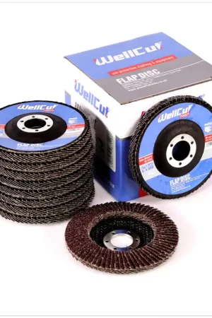 WellCut WP 40115 Disques abrasifs 115mm Grain 40, 10 pcs. Prix Bas