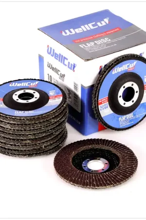 WellCut WP 80115 Disques abrasifs 115mm, Grain 80, 10 pcs. Offre Du Jour