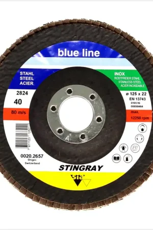 50x Rondelle de blocage dentelée Bosch SIA 2824 Stingray 125 mm P120 pour acier et acier inoxydable Seulement Aujourd'hui