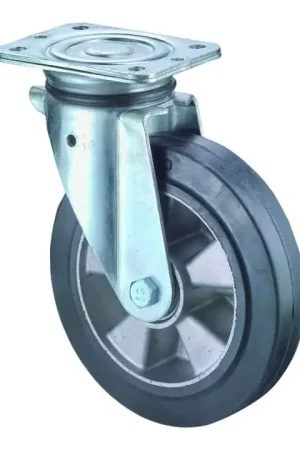 BS ROLLEN Roulette pivotante de charge lourde N100 D. de la roue 250 mm cap. charge 550 kg ( 3000275475 ) Bon Marché