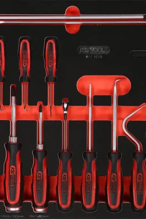 Promotion Saisonnière KS TOOLS Jeu de tournevis et crochets dans insert en mousse, 19 pcs ( 811.1019 )