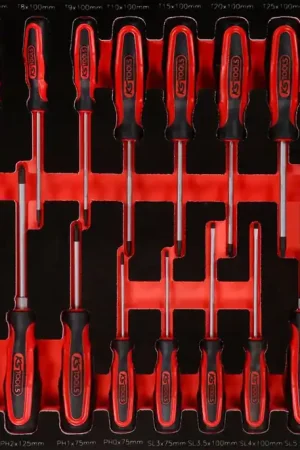Jusqu'à Épuisement Des Stocks KS TOOLS Jeu de tournevis dans insert en mousse, 24 pcs ( 811.0024 )