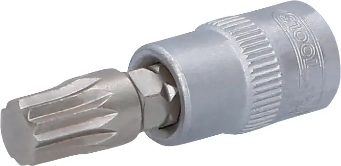 Achetez Aujourd'hui KS TOOLS 1/4' Douilles tournevis XZN, M8 ( 917.1545 )