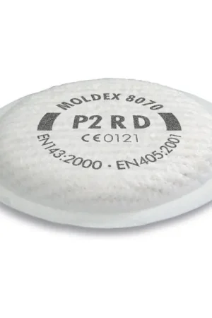 MOLDEX Filtre à particules 807001 EN 143:2000 + A1:2006 P2 R D ( 4000370732 ) Usine Directe
