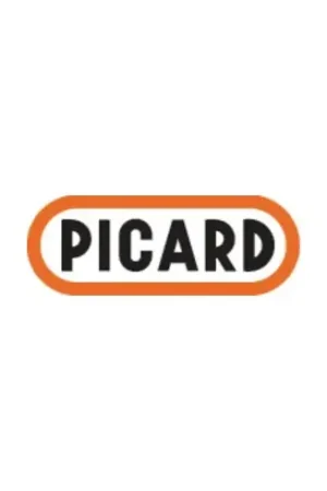 PICARD Massette BlackTec® poids de la tête 1 250 g ( 4000811376 ) Bon Plan