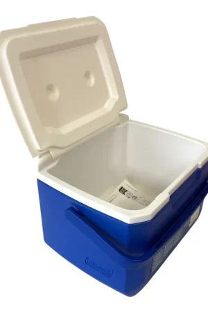 Glacière Coleman 5QT Performance avec isolation en PU, 4,7 litres Nouvel Arrivage