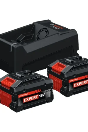 Acheter En Ligne Bosch 2x EXBA 18V-55 + GAL 12V/18V-80 EXPERT Set de démarrage 18 V ( 1600A0373P ) 2x batterie 5,5 Ah + chargeur 8 A AMPShare
