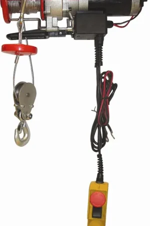 Authentique Palan Électrique 12V 400W 200/400 kg
