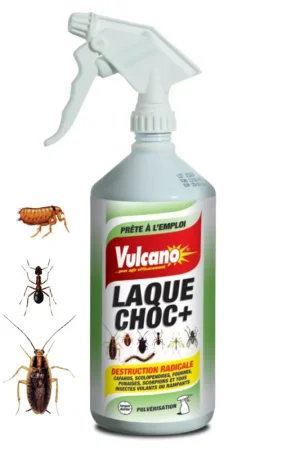 Solde LAQUE CHOC + 1 LITRES