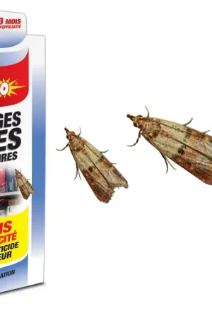 Commande En Gros PIEGES ANTI MITES ALIMENTAIRES