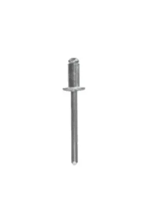 Satisfait Ou Remboursé Rivets industriels 04034 10