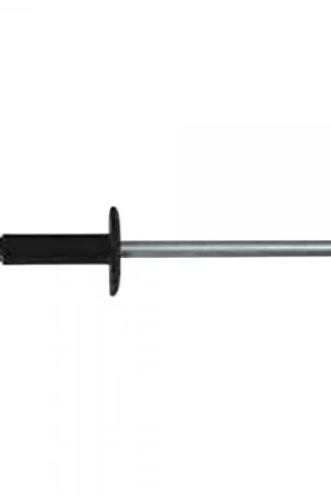 Sachet de 72 rivets éclatés peints 11529 ø14mm Dernier Modèle