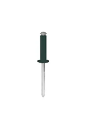 Rivets éclatés peints 04721 Achat Immédiat