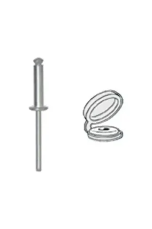 Satisfait Ou Remboursé Rivets éclatés peints 04775