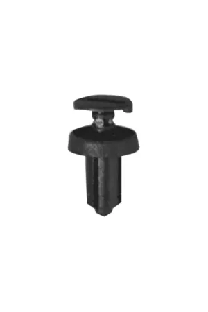 Seulement Aujourd'hui Rivets en plastiques Renault Dacia ø6mm
